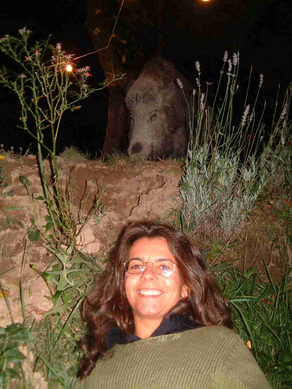  Image name: DSCF0052.JPG 
 width: 960 pixel 
 height: 1280 pixel 
 Size: 79621 bytes 
 Click to enlarge 